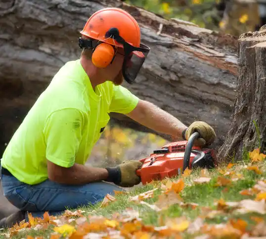 tree services Cedar Hill